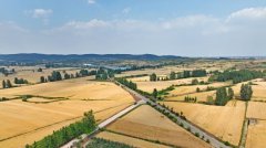 藏粮无方“齐鲁粮仓”更满更优